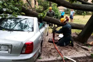 У Києві рятувальники деблокували автівки з-під повалених вітром дерев (фото)