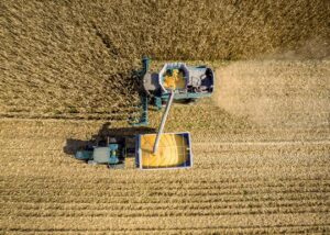 В Україні обмолочено 73% зернових площ