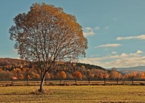 Гороскоп для всіх знаків зодіаку на вихідні 8-9 листопада 2025 року