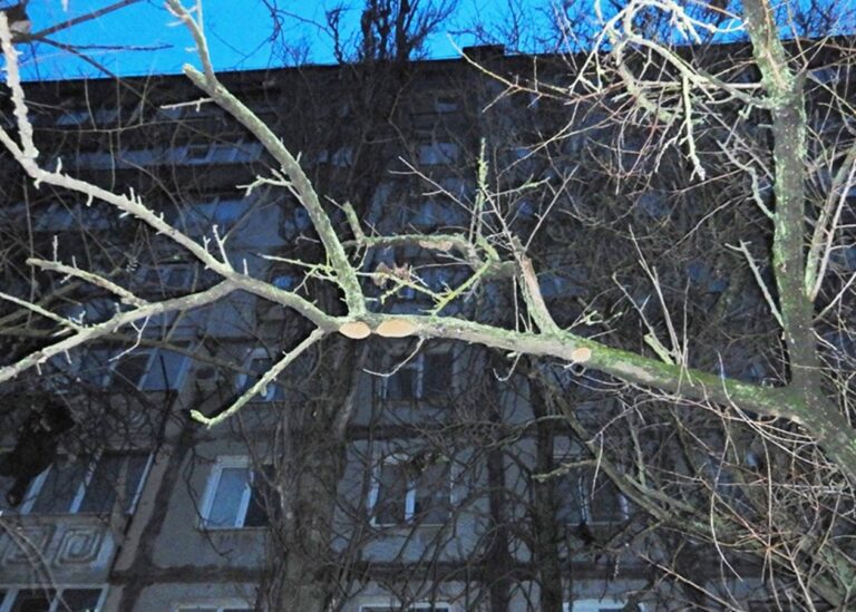 Поліціянти розслідують загибель дівчини у заблокованій квартирі Миколаєва