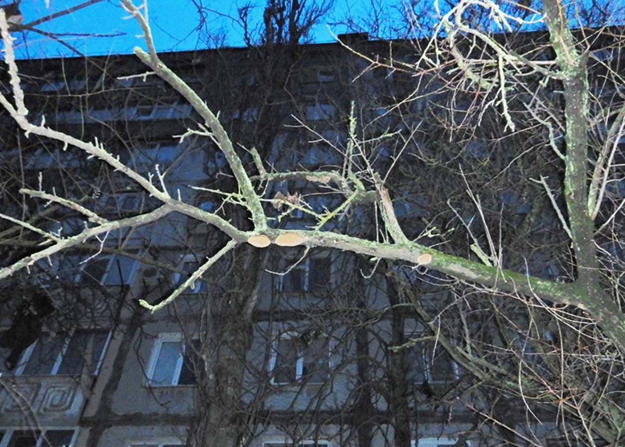 Поліціянти розслідують загибель дівчини у заблокованій квартирі Миколаєва