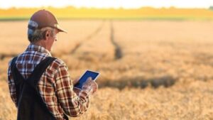 Буде біда? Українські фермери можуть втратити до 20% врожайності – названо причину