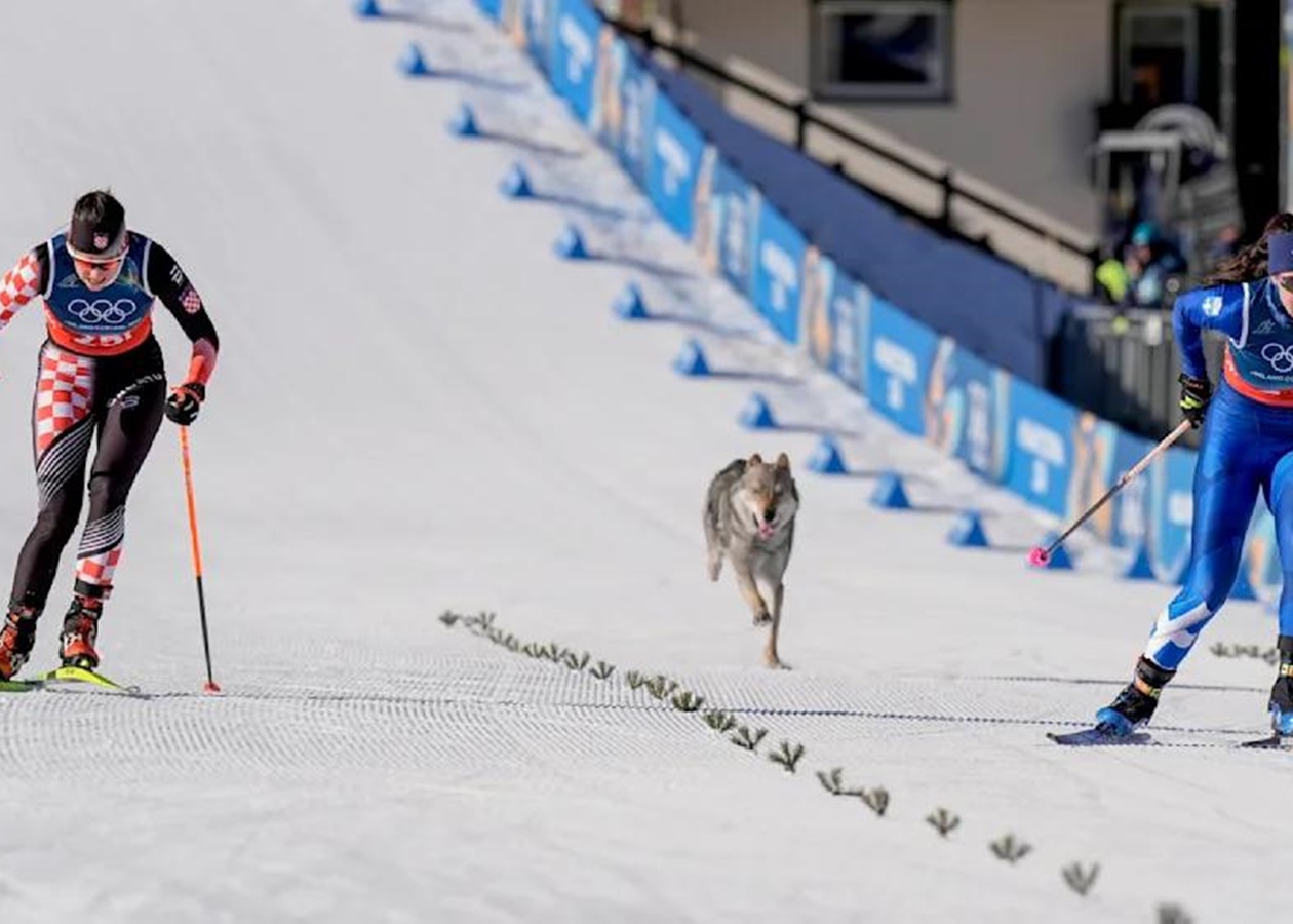 Собака став учасником жіночого кросу на Олімпіаді