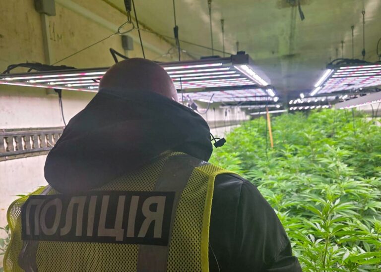 На Черкащині викрили промислову наркоплантацію з сонячними панелями