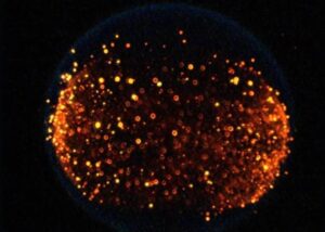 NASA вперше влаштує "пожежу" на Місяці