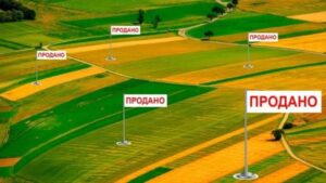 Земля може різко зрости в ціні: Українцям пояснили, чи варто купувати ділянки вже зараз
