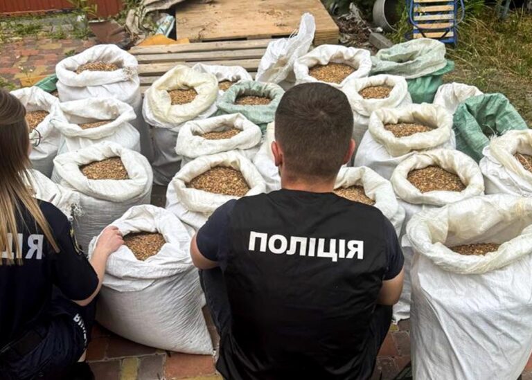 На Рівненщині викрили підпільний цех: вилучили бурштину на мільйони